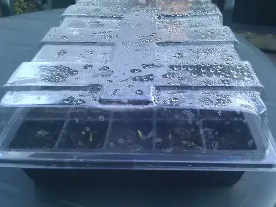 Seedling tray