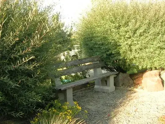 Blue Arctic Willow in a little park the second year without pruning