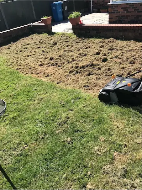 Lawn during dethatching