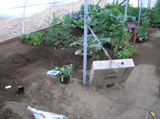 my first polytunnel using floor as garden