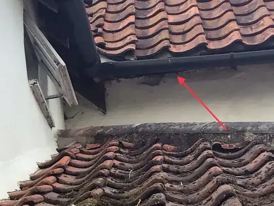 Image showing location of wasp nest in relation to the window