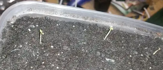 Installation X-section