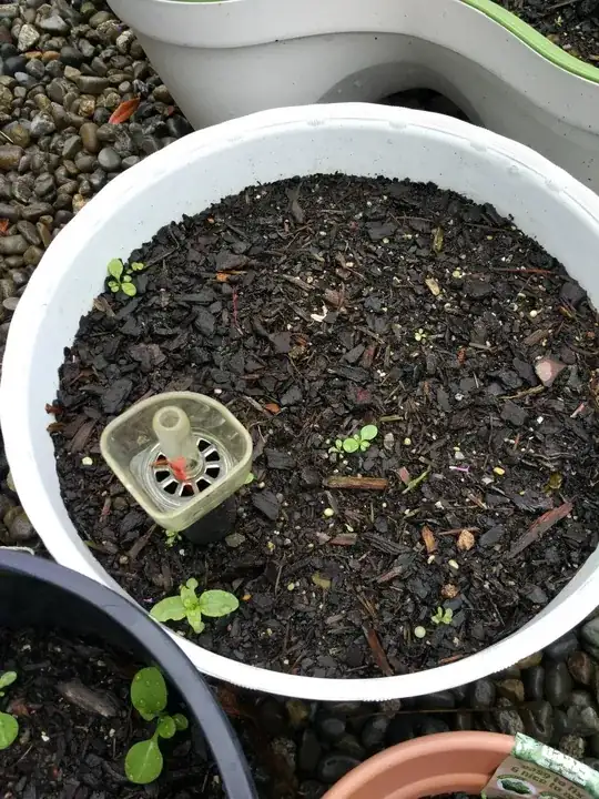 enter link description here