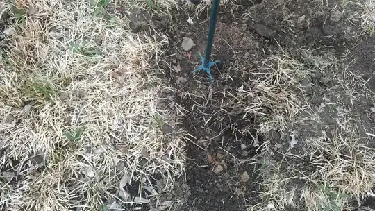 Section that I've already removed, with the suggested tool