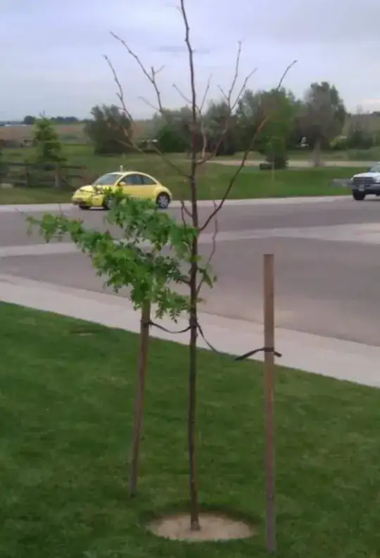 2009 diseased honey locust
