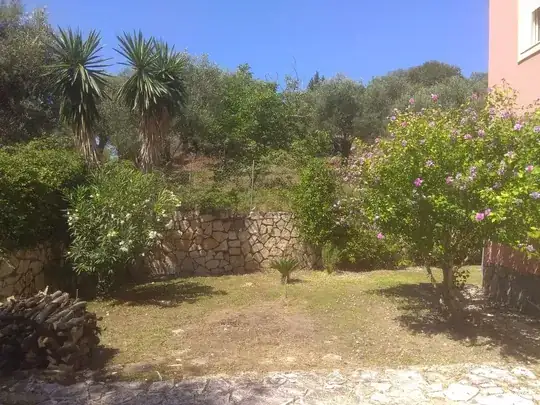 Image of basil leaf which turned black