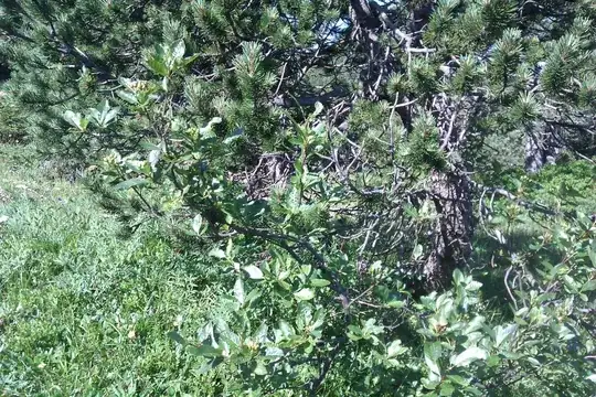 how it looks in the real