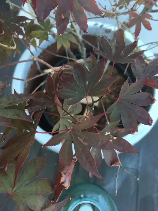 enter image description here