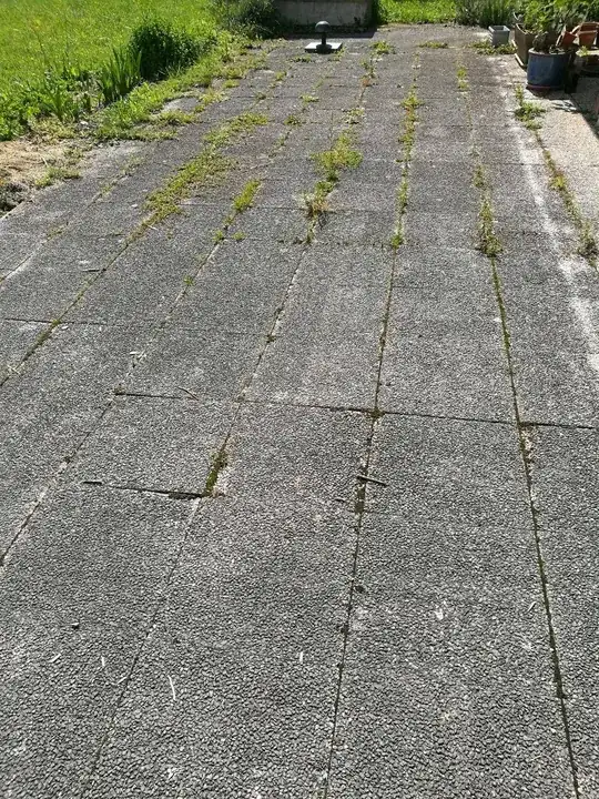 my uncomfortable terrace