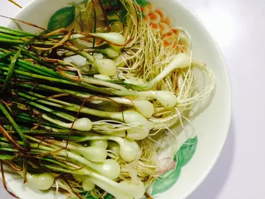 And a zoomed version of the supposed "Welsh Onion". Notice that there are bulbs. To add to that, I'm having a hard time identifying due to the absence of flowers for the two years I planted it. 