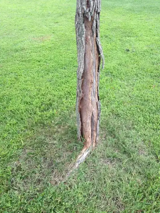 Tree with damage
