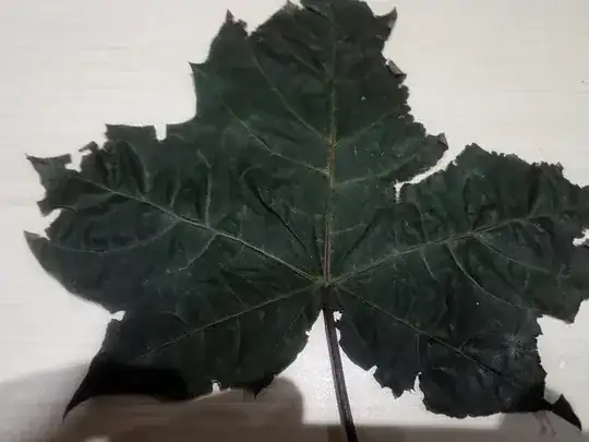 Close up of new growth 2