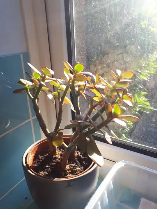 current location with sun