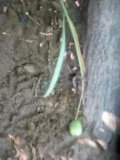 Click on photo for full size enter image description here