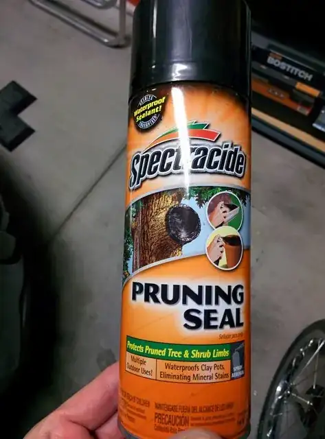 Here's the Pruning Sealer I used just after planting -- after I discovered the support-post damage