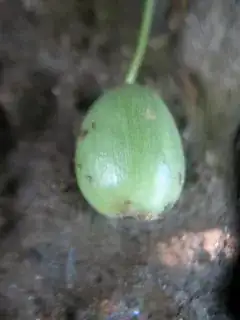 Click on photo for full size enter image description here