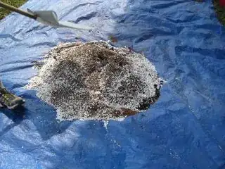 Homemade Potting Mix