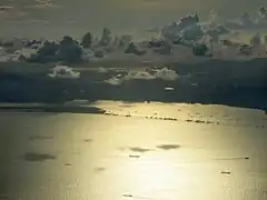 Wikimania Hongkong 4