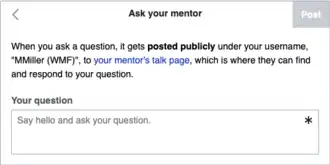 Screenshot of prompt for asking a mentor question