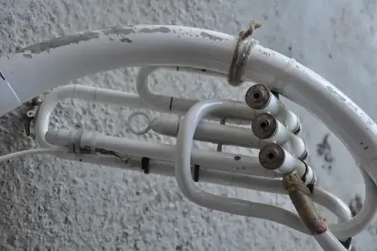 The valves seen from under