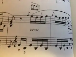 Cooper edition measures 28-29