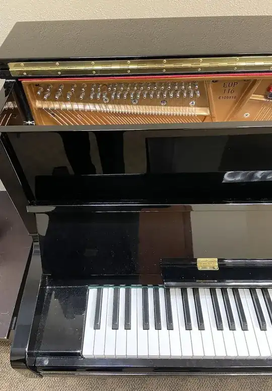 Photo showing keyboard, pin block, and strings