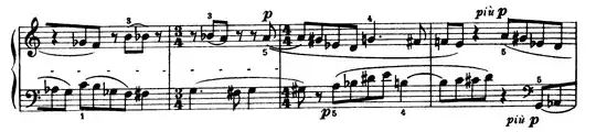 Mikrokosmos excerpt