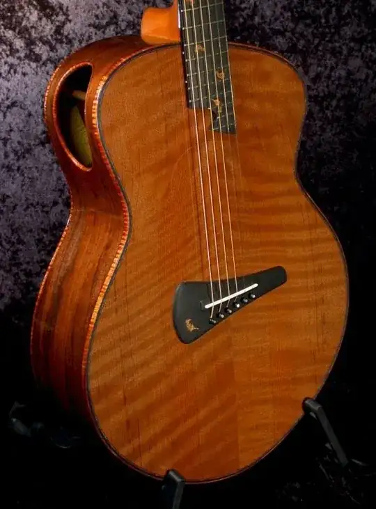 Sound holeless guitar - 01