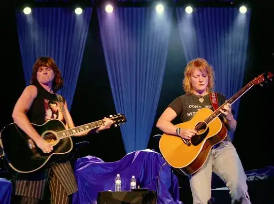 The Indigo Girls