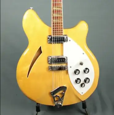 Rickenbacker 12 string electric guitar