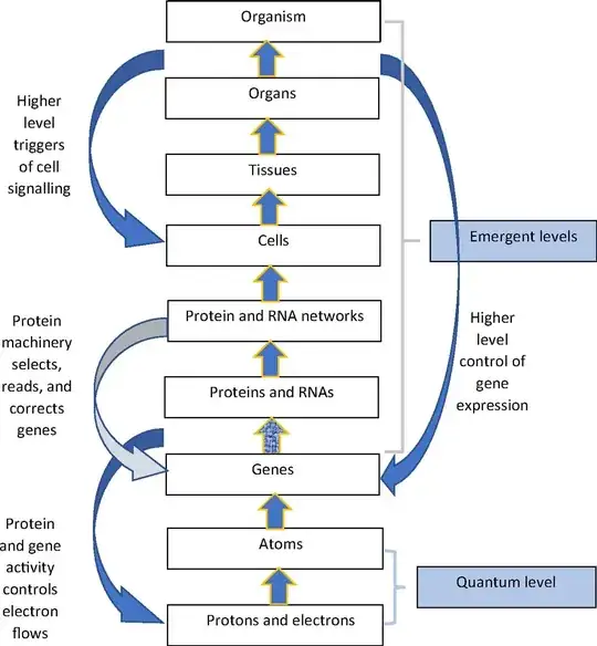 Downward Causation in action