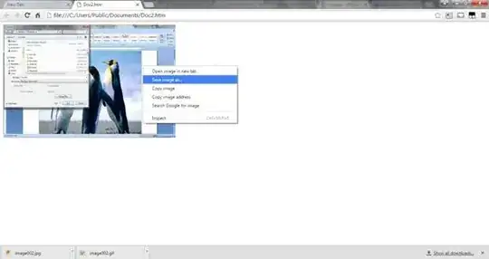 browser with image open