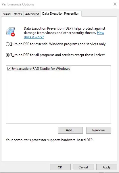 Data Execution Prevention