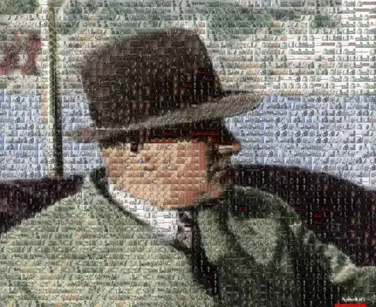 Screenshot of error shown in Firefox