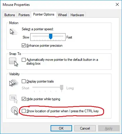 Mouse Properties > Pointer Options > Show Location of Pointer