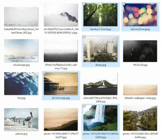 Detail of windows explorer window showing selected photos