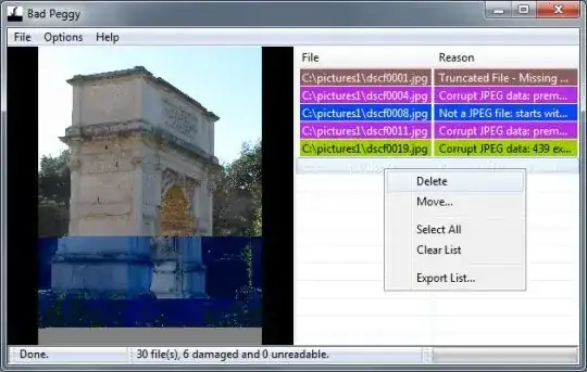 Screenshot of the application