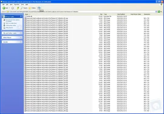 07 renamed files.png