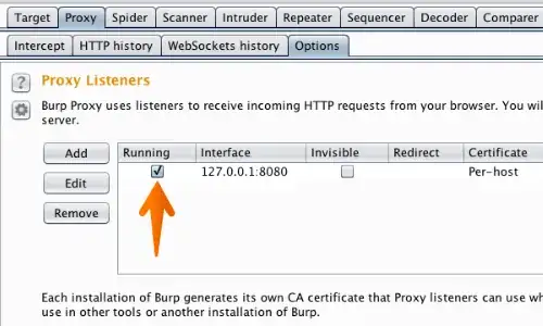 Burp suite