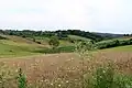 Žabari - panorama