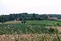 Žabari - panorama