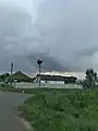 stork's nest