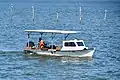 Chesapeake Bay deadrise workboat being used to catch blue crabs