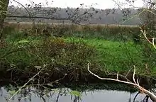 Sizewell Marshes