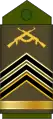 Primeiro-sargento(Angolan Army)