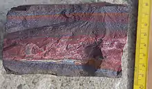 Image 29A banded iron formation from the 3.15 Ga Moodies Group, Barberton Greenstone Belt, South Africa. Red layers represent the times when oxygen was available; gray layers were formed in anoxic circumstances. (from History of Earth)