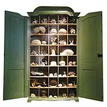 Image 19An early 18th-century German  Schrank with a traditional display of corals, from the Naturkundemuseum, Berlin