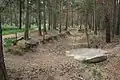 Image 21Pineferous forest of the sandy Bagshot Formation spanning parts of four boroughs towards the north-west and in the far west of the county, with defensive positions for historic army training near Deepcut and Pirbright (from Portal:Surrey/Selected pictures)