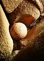 Natural granite ball (2–3&nbsp;ft in diameter) close to Renote Island