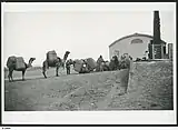 Image 24Camel train, with wool from Nappamerry being unloaded at the Railway Station, 1928. (from Transport in South Australia)